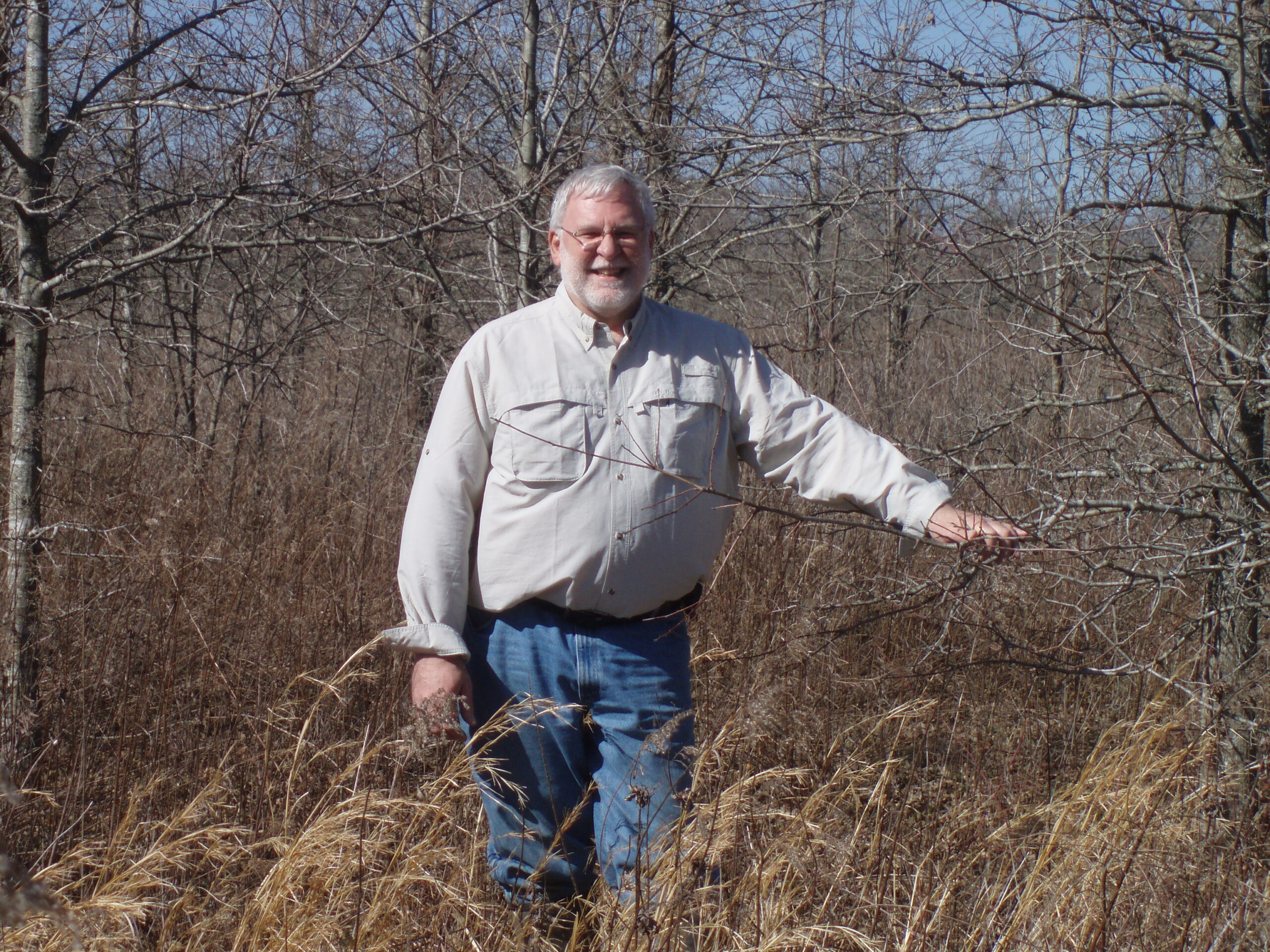 Külalisprofessor Ameerikast: metsa majandamine ei ole halb